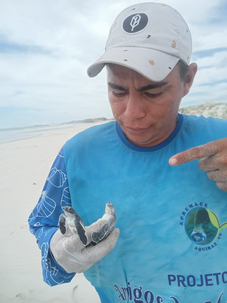 Voluntário segurando filhote de tartaruga marinha
