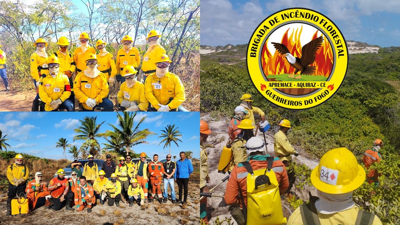 Brigada Florestal Guerreiros do Fogo